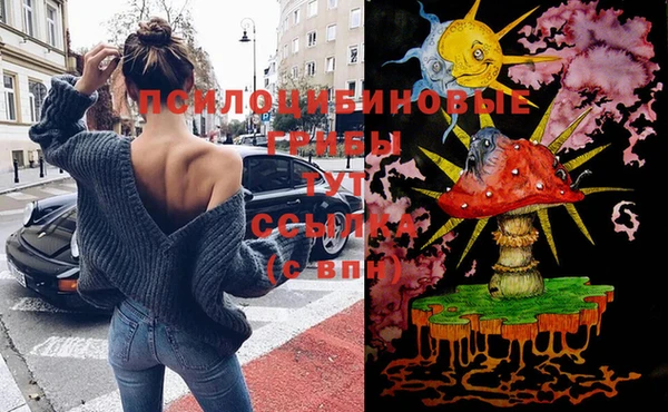 прущие крисы Алексин