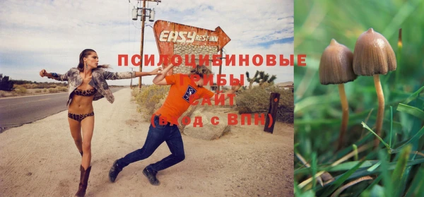 герыч Алзамай